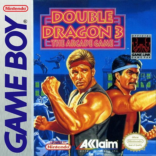 双截龙3